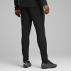 Puma Team Cup Training Pants