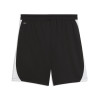 Puma Team Final 26 Training Shorts