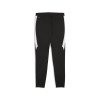 Puma Team Final 26 Training Pants