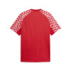Puma Team Liga 26 Jersey