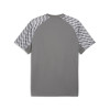 Puma Team Liga 26 Jersey