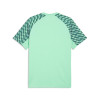 Puma Team Liga 26 Jersey