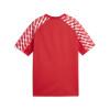 Puma Team Liga 26 Jersey