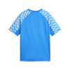 Puma Team Liga 26 Jersey