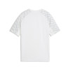 Puma Team Liga 26 Jersey