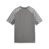Puma Team Liga 26 Jersey