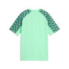 Puma Team Liga 26 Jersey