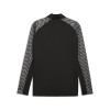 Puma Team Liga 26 Training 1/4 Zip Top