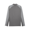 Puma Team Liga 26 Training 1/4 Zip Top