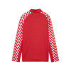 Puma Team Liga 26 Training 1/4 Zip Top