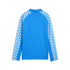 Puma Team Liga 26 Training 1/4 Zip Top
