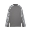 Puma Team Liga 26 Training 1/4 Zip Top