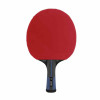Dunlop Evolution 2000 TT Bat