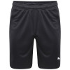 Puma Liga Shorts Core