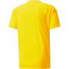 Puma Team Vision Jersey