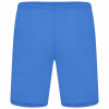 Puma Team Liga Shorts - Electric Blue/Puma White
