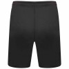 Puma Team Liga Shorts