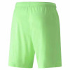 Puma Team Liga Shorts
