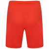 Puma Team Liga Shorts