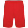 Puma Team Rise Shorts