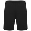 Puma Team Rise Shorts