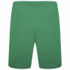 Puma Team Rise Shorts