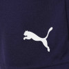 Puma Team Rise Shorts