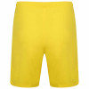 Puma Team Rise Shorts