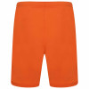 Puma Team Rise Shorts