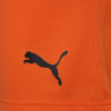 Puma Team Rise Shorts