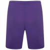 Puma Team Rise Shorts