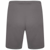 Puma Team Rise Shorts