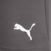 Puma Team Rise Shorts