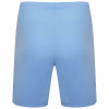 Puma Team Rise Shorts