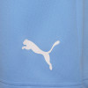 Puma Team Rise Shorts