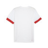Puma Team Goal Matchday Jersey