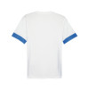 Puma Team Goal Matchday Jersey
