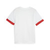 Puma Team Goal Matchday Jersey