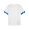 Puma Team Goal Matchday Jersey