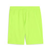 Puma Team Goal Shorts