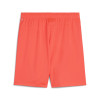 Puma Team Goal Shorts
