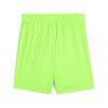 Puma Team Goal Shorts