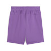 Puma Team Goal Shorts
