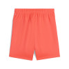 Puma Team Goal Shorts