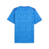 Puma Team Cup Jersey