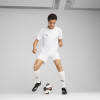 Puma Team Cup Jersey