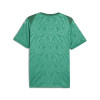 Puma Team Cup Jersey