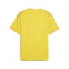 Puma Team Cup Jersey