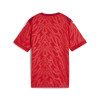 Puma Team Cup Jersey