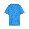 Puma Team Cup Jersey